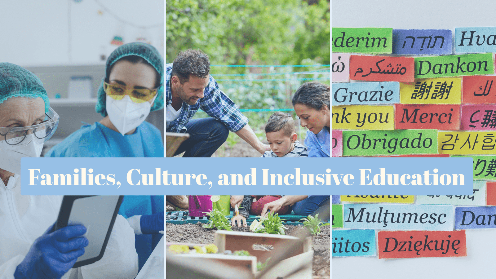 3 images frame, first one left to right, 2 women in a science lab, in the centre a family tending a vegetable garden, mom and dad teaching their child, last one, the word "Thank you" written in different languages on colourful papers.