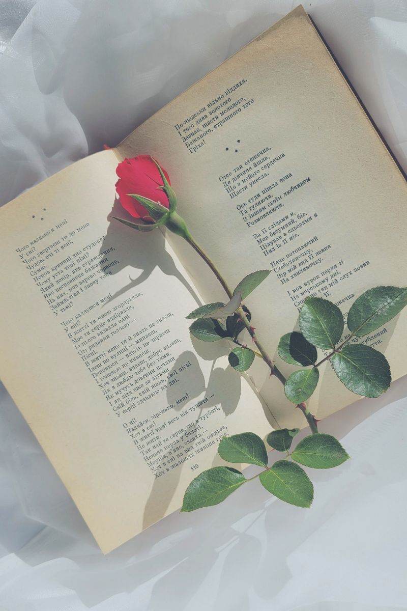 An opened poetry book with a red rose on top as a bookmark.