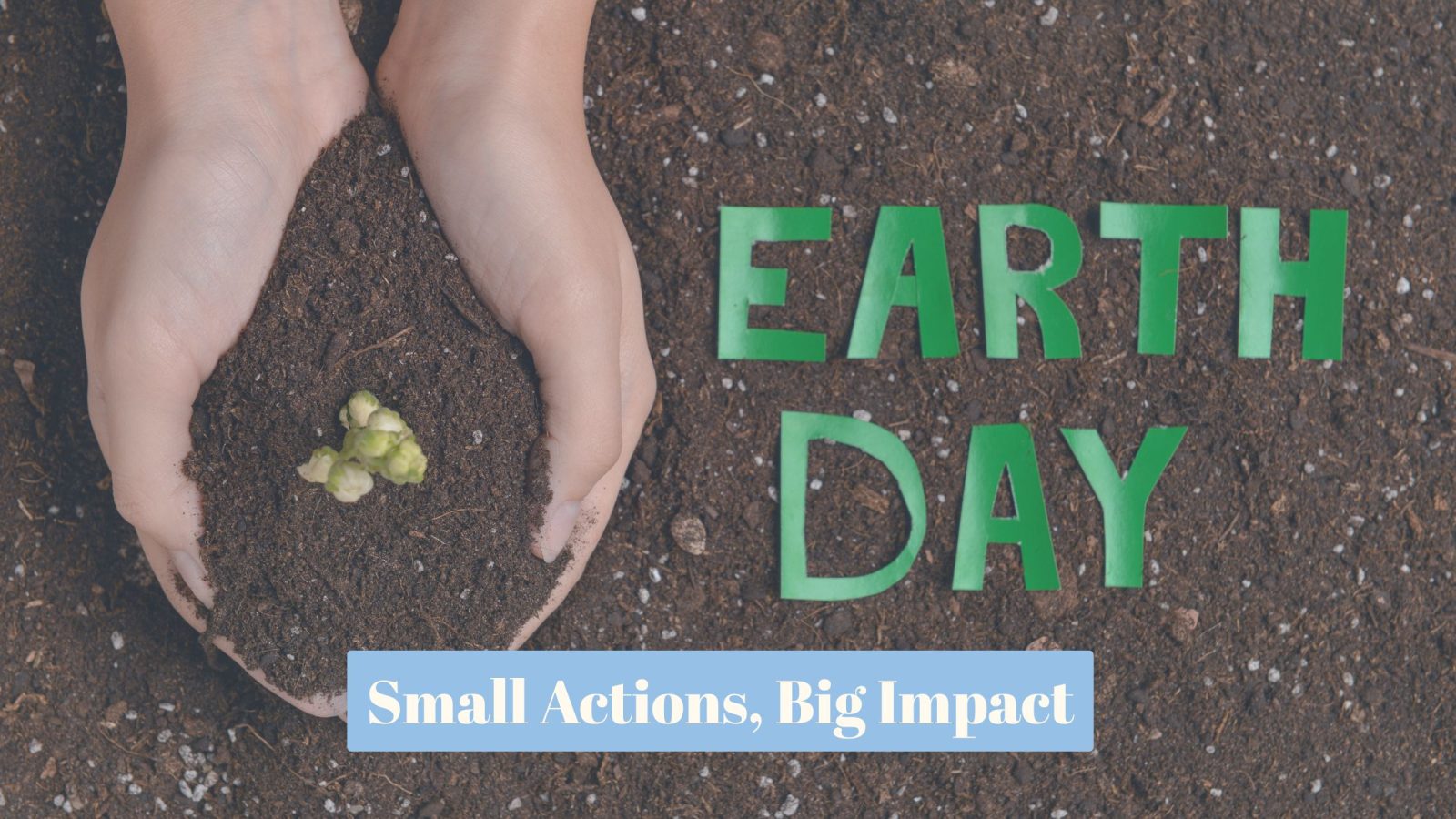 hands holding dirty with a tiny plant on it. With the words on the right: earth day, small actions, big impact.